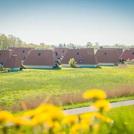 Hans Albers 16 뢰멘