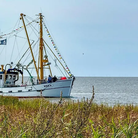 펜션 Hans Albers 16 *