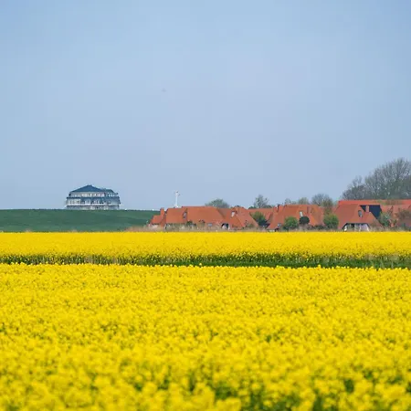 펜션 Hans Albers 16