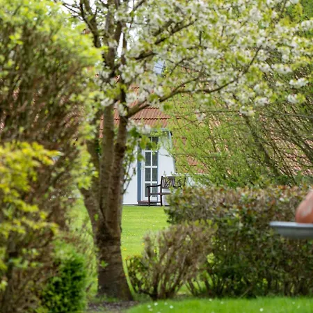 Hans Albers 16 펜션